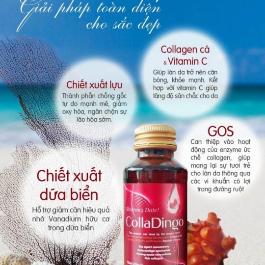 Nước uống Collagen Colladingo